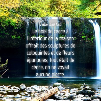 Picture 04 - 1 Rois 6:18 LSG - Le bois de cèdre à l'intérieur de la maison - Bible Verse Picture