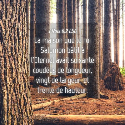 Picture 04 - 1 Rois 6:2 LSG - La maison que le roi Salomon bâtit à l'Eternel - Bible Verse Picture