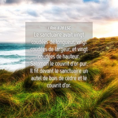 Picture 04 - 1 Rois 6:20 LSG - Le sanctuaire avait vingt coudées de longueur, - Bible Verse Picture