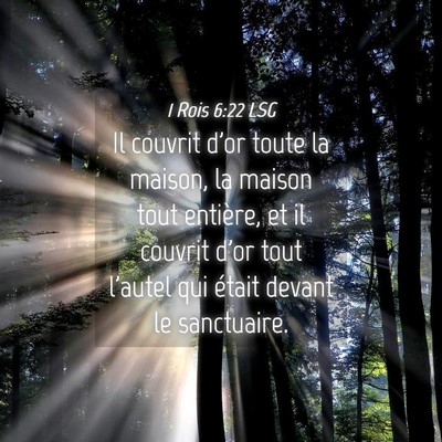 Picture 04 - 1 Rois 6:22 LSG - Il couvrit d'or toute la maison, la maison tout - Bible Verse Picture