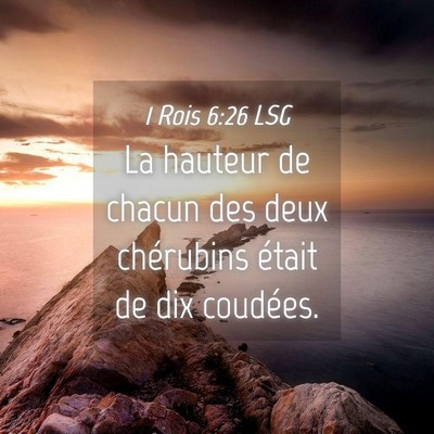 Picture 04 - 1 Rois 6:26 LSG - La hauteur de chacun des deux chérubins était - Bible Verse Picture