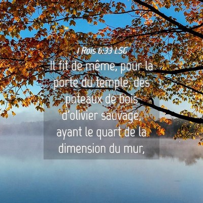 Picture 04 - 1 Rois 6:33 LSG - Il fit de même, pour la porte du temple, des - Bible Verse Picture