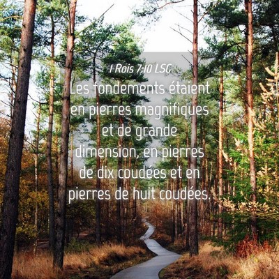 Picture 04 - 1 Rois 7:10 LSG - Les fondements étaient en pierres magnifiques et - Bible Verse Picture