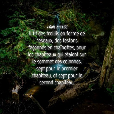 Picture 04 - 1 Rois 7:17 LSG - Il fit des treillis en forme de réseaux, des - Bible Verse Picture