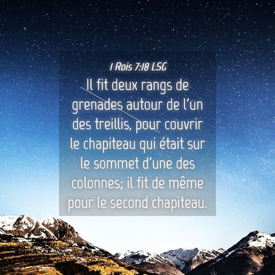Picture 04 - 1 Rois 7:18 LSG - Il fit deux rangs de grenades autour de l'un des - Bible Verse Picture