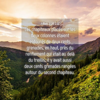 Picture 04 - 1 Rois 7:20 LSG - Les chapiteaux placés sur les deux colonnes - Bible Verse Picture