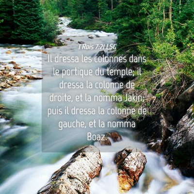 Picture 04 - 1 Rois 7:21 LSG - Il dressa les colonnes dans le portique du - Bible Verse Picture