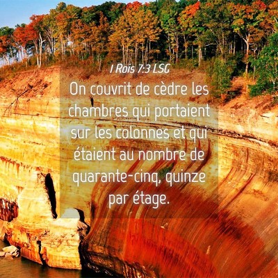 Picture 04 - 1 Rois 7:3 LSG - On couvrit de cèdre les chambres qui portaient - Bible Verse Picture