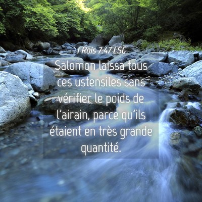 Picture 04 - 1 Rois 7:47 LSG - Salomon laissa tous ces ustensiles sans vérifier - Bible Verse Picture