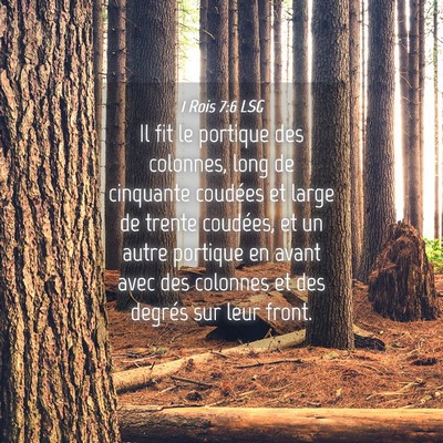 Picture 04 - 1 Rois 7:6 LSG - Il fit le portique des colonnes, long de - Bible Verse Picture