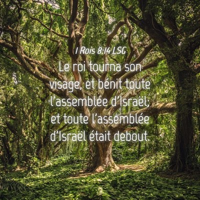 Picture 04 - 1 Rois 8:14 LSG - Le roi tourna son visage, et bénit toute - Bible Verse Picture