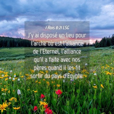 Picture 04 - 1 Rois 8:21 LSG - J'y ai disposé un lieu pour l'arche où est - Bible Verse Picture