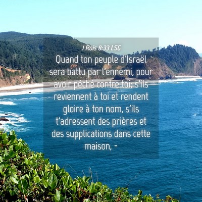 Picture 04 - 1 Rois 8:33 LSG - Quand ton peuple d'Israël sera battu par - Bible Verse Picture