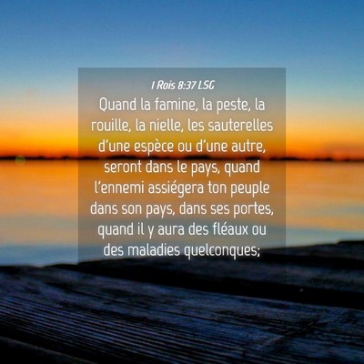 Picture 04 - 1 Rois 8:37 LSG - Quand la famine, la peste, la rouille, la nielle, - Bible Verse Picture