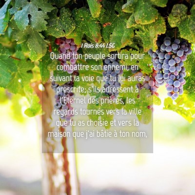 Picture 04 - 1 Rois 8:44 LSG - Quand ton peuple sortira pour combattre son - Bible Verse Picture