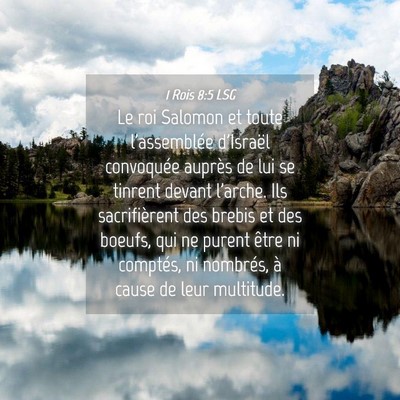 Picture 04 - 1 Rois 8:5 LSG - Le roi Salomon et toute l'assemblée d'Israël - Bible Verse Picture