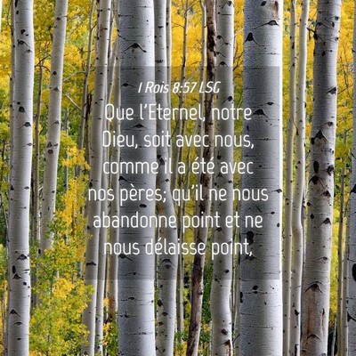 Picture 04 - 1 Rois 8:57 LSG - Que l'Eternel, notre Dieu, soit avec nous, comme - Bible Verse Picture
