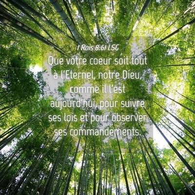 Picture 04 - 1 Rois 8:61 LSG - Que votre coeur soit tout à l'Eternel, notre - Bible Verse Picture