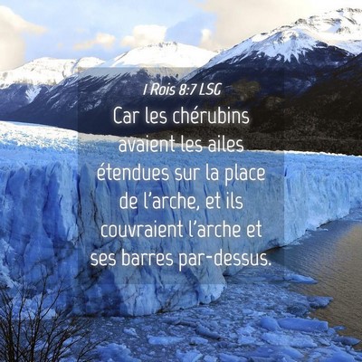 Picture 04 - 1 Rois 8:7 LSG - Car les chérubins avaient les ailes étendues - Bible Verse Picture