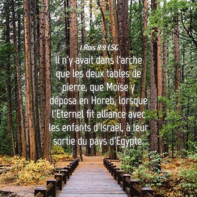 Picture 04 - 1 Rois 8:9 LSG - Il n'y avait dans l'arche que les deux tables de - Bible Verse Picture
