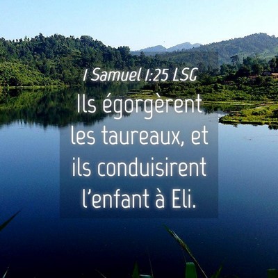 Picture 04 - 1 Samuel 1:25 LSG - Ils égorgèrent les taureaux, et ils - Bible Verse Picture