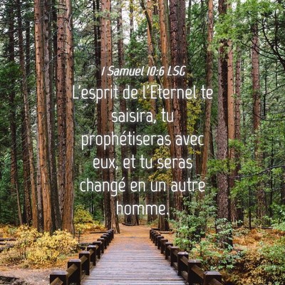 Picture 04 - 1 Samuel 10:6 LSG - L'esprit de l'Eternel te saisira, tu - Bible Verse Picture