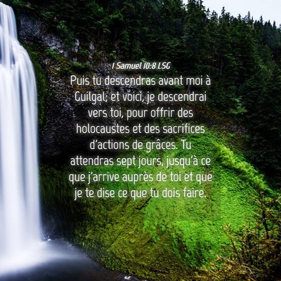 Picture 04 - 1 Samuel 10:8 LSG - Puis tu descendras avant moi à Guilgal; et - Bible Verse Picture