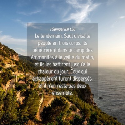 Picture 04 - 1 Samuel 11:11 LSG - Le lendemain, Saül divisa le peuple en trois - Bible Verse Picture