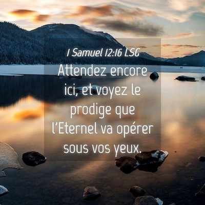 Picture 04 - 1 Samuel 12:16 LSG - Attendez encore ici, et voyez le prodige que - Bible Verse Picture