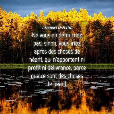 Picture 04 - 1 Samuel 12:21 LSG - Ne vous en détournez pas; sinon, vous iriez - Bible Verse Picture