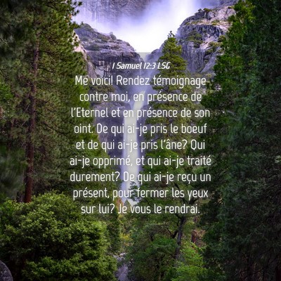 Picture 04 - 1 Samuel 12:3 LSG - Me voici! Rendez témoignage contre moi, en - Bible Verse Picture