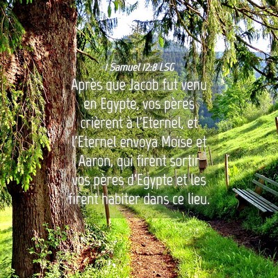 Picture 04 - 1 Samuel 12:8 LSG - Après que Jacob fut venu en Egypte, vos pères - Bible Verse Picture
