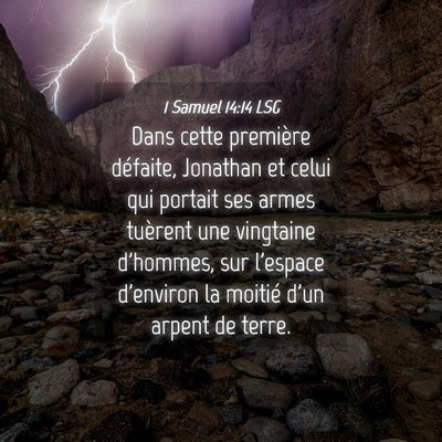 Picture 04 - 1 Samuel 14:14 LSG - Dans cette première défaite, Jonathan et celui - Bible Verse Picture