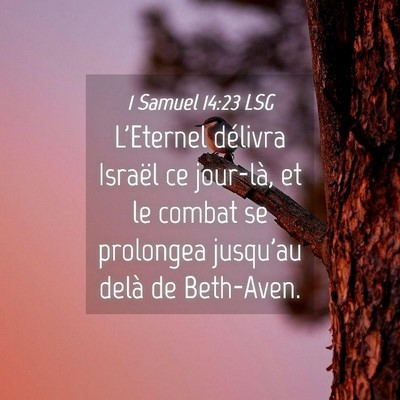 Picture 04 - 1 Samuel 14:23 LSG - L'Eternel délivra Israël ce jour-là, et le - Bible Verse Picture