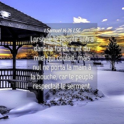 Picture 04 - 1 Samuel 14:26 LSG - Lorsque le peuple entra dans la forêt, il vit du - Bible Verse Picture