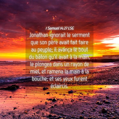 Picture 04 - 1 Samuel 14:27 LSG - Jonathan ignorait le serment que son père avait - Bible Verse Picture