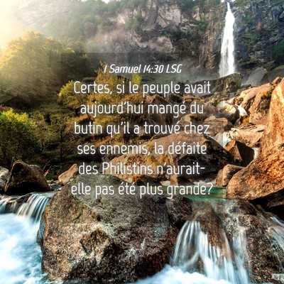 Picture 04 - 1 Samuel 14:30 LSG - Certes, si le peuple avait aujourd'hui mangé du - Bible Verse Picture