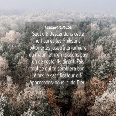 Picture 04 - 1 Samuel 14:36 LSG - Saül dit: Descendons cette nuit après les - Bible Verse Picture