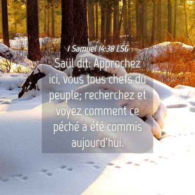 Picture 04 - 1 Samuel 14:38 LSG - Saül dit: Approchez ici, vous tous chefs du - Bible Verse Picture