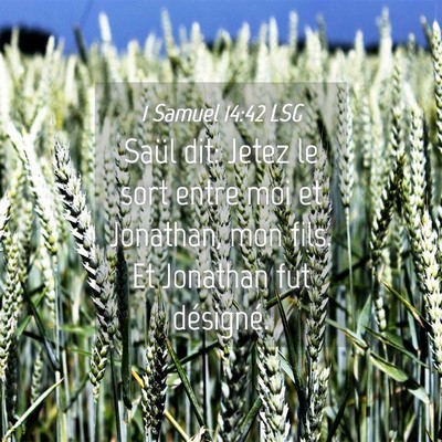 Picture 04 - 1 Samuel 14:42 LSG - Saül dit: Jetez le sort entre moi et Jonathan, - Bible Verse Picture