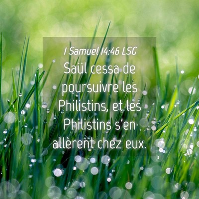 Picture 04 - 1 Samuel 14:46 LSG - Saül cessa de poursuivre les Philistins, et les - Bible Verse Picture