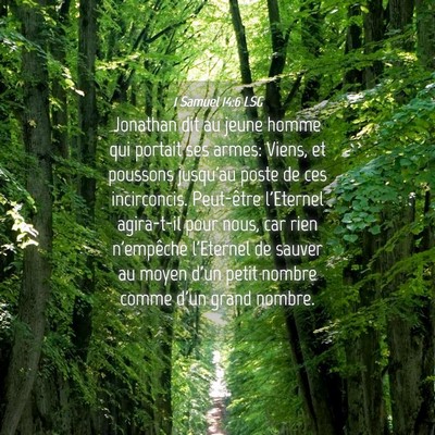 Picture 04 - 1 Samuel 14:6 LSG - Jonathan dit au jeune homme qui portait ses - Bible Verse Picture