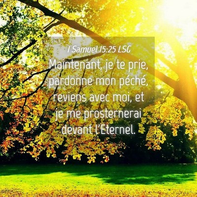 Picture 04 - 1 Samuel 15:25 LSG - Maintenant, je te prie, pardonne mon péché, - Bible Verse Picture