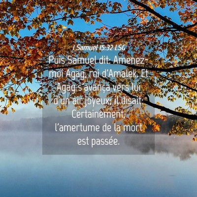 Picture 04 - 1 Samuel 15:32 LSG - Puis Samuel dit: Amenez-moi Agag, roi d'Amalek. - Bible Verse Picture