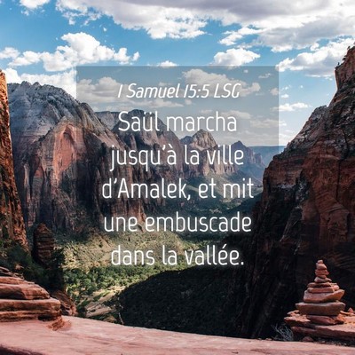 Picture 04 - 1 Samuel 15:5 LSG - Saül marcha jusqu'à la ville d'Amalek, et mit - Bible Verse Picture