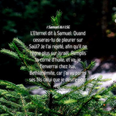 Picture 04 - 1 Samuel 16:1 LSG - L'Eternel dit à Samuel: Quand cesseras-tu de - Bible Verse Picture