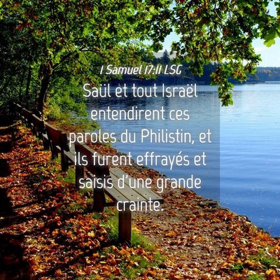 Picture 04 - 1 Samuel 17:11 LSG - Saül et tout Israël entendirent ces paroles du - Bible Verse Picture