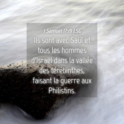 Picture 04 - 1 Samuel 17:19 LSG - Ils sont avec Saül et tous les hommes d'Israël - Bible Verse Picture