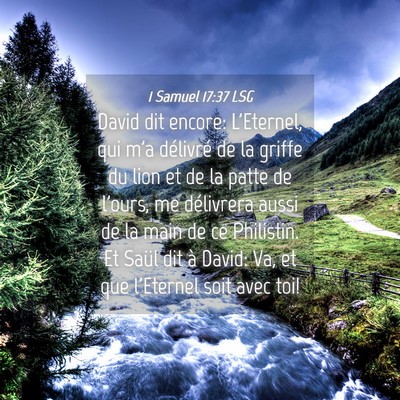 Picture 04 - 1 Samuel 17:37 LSG - David dit encore: L'Eternel, qui m'a délivré de - Bible Verse Picture