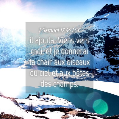 Picture 04 - 1 Samuel 17:44 LSG - il ajouta: Viens vers moi, et je donnerai ta - Bible Verse Picture